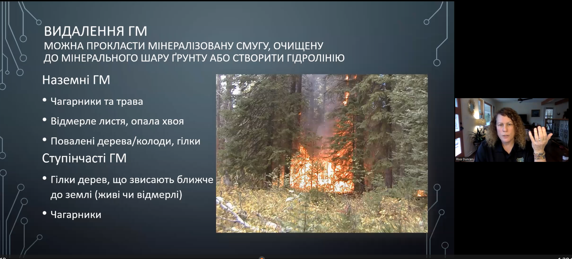 Учасники онлайн конференції для ДП Ліси України 1