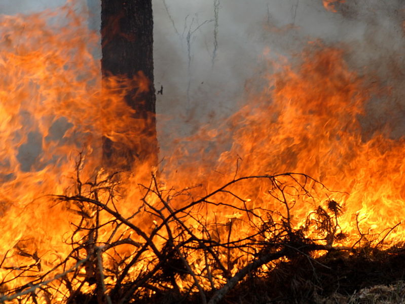 2f7bfd53136bb27af1f17f645f7d951d