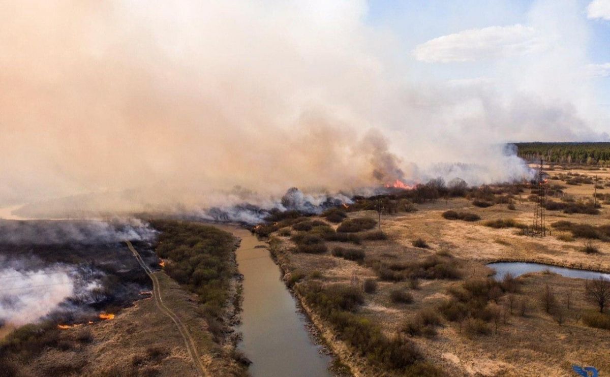 Пожежа в Чорнобильській зоні
