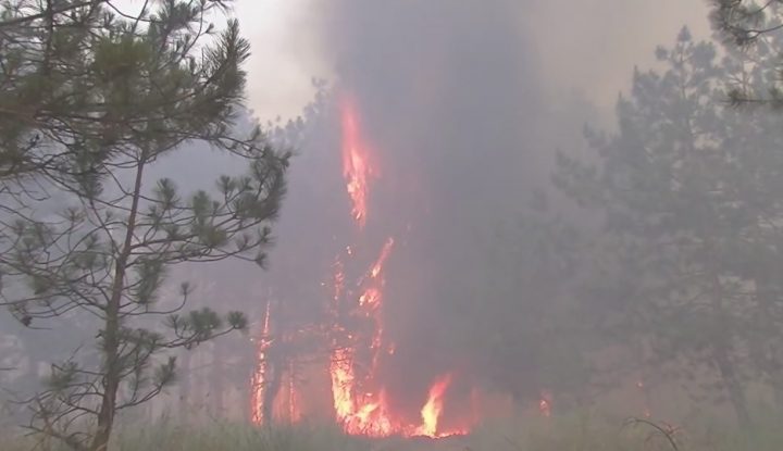 Лісова пожежа 1 2