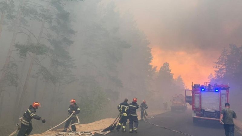 Лісова пожежа Новоайдарський район Луганська область