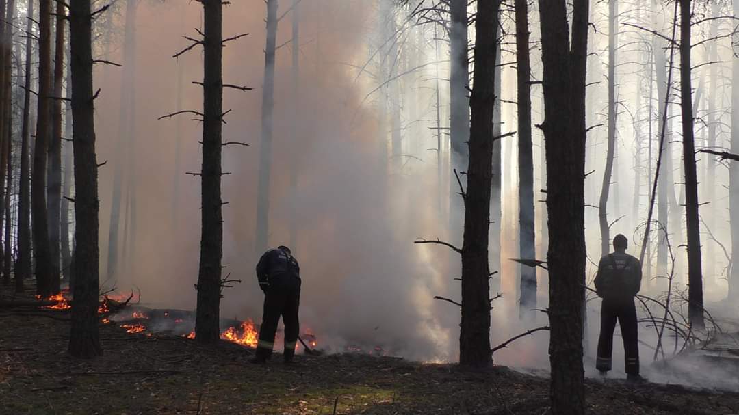 Торфова пожежа