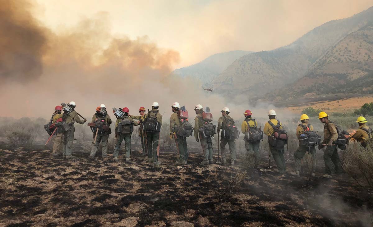 Гасіння пожежі Лісова служба США