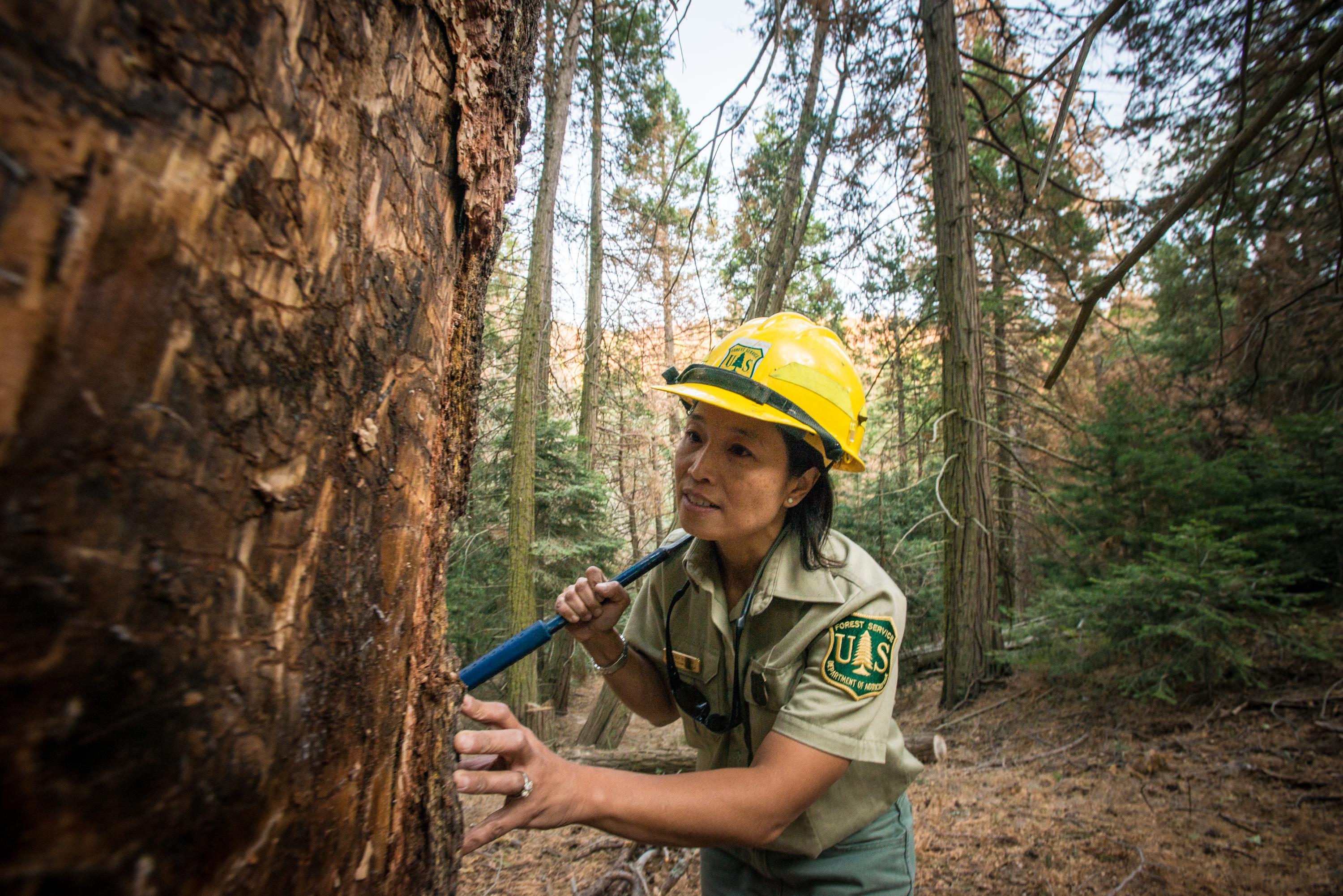 Працівники