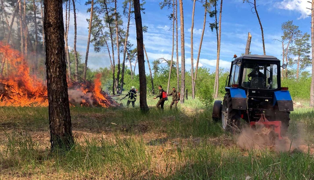 Гасіння лісової пожежі 1