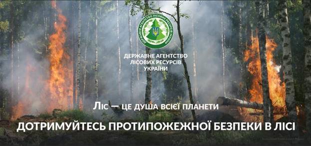 Про правила пожежної безпеки в лісі 1