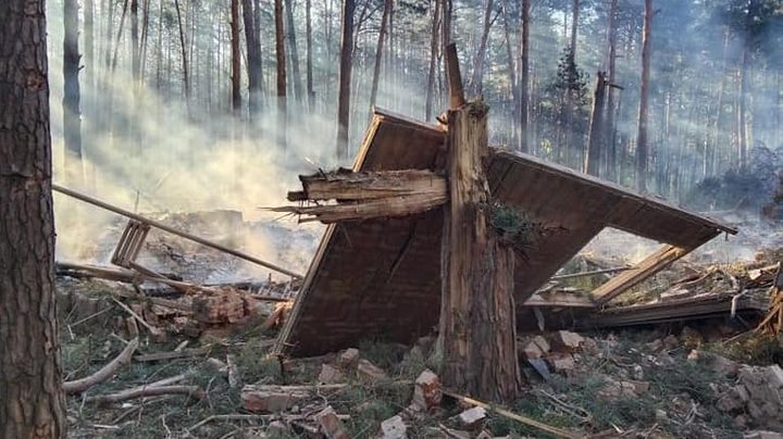 Вплив військових дій на лісову екоситему
