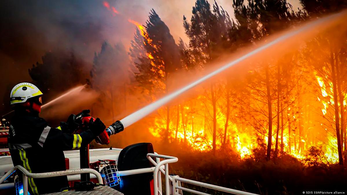 Гасіння лісової пожежі