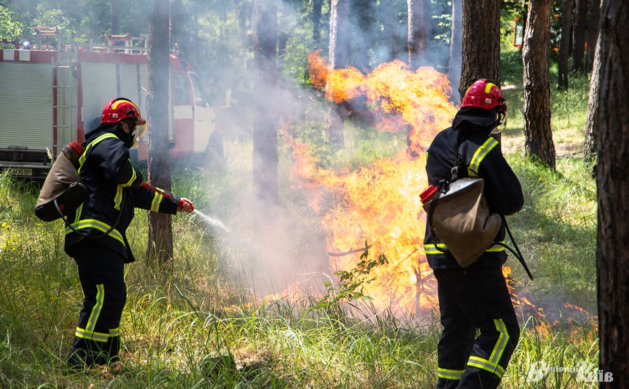 Пожежа в лісі